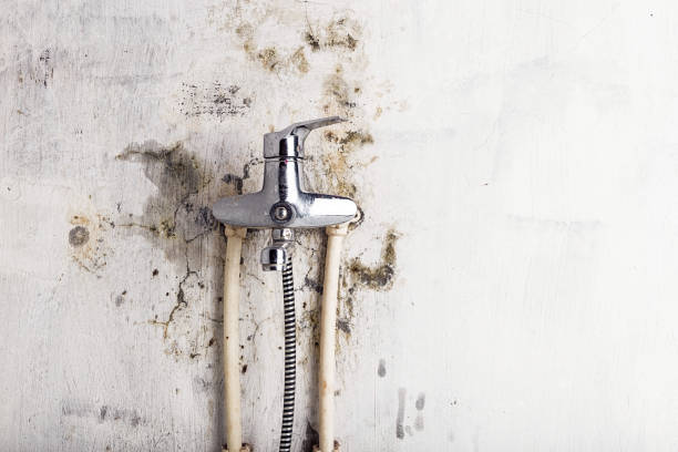 Best Water Damage Restoration  in Joshua Tree, CA