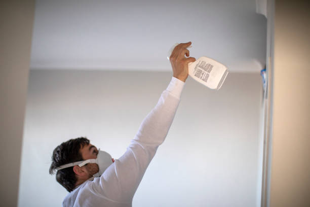 Best Toxic Mold Removal  in Joshua Tree, CA