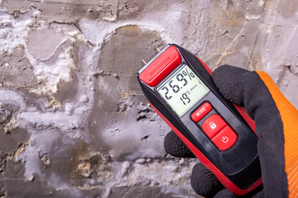 Best Commercial Mold Removal  in Joshua Tree, CA