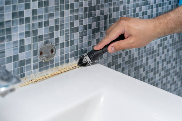 Best Black Mold Removal  in Joshua Tree, CA