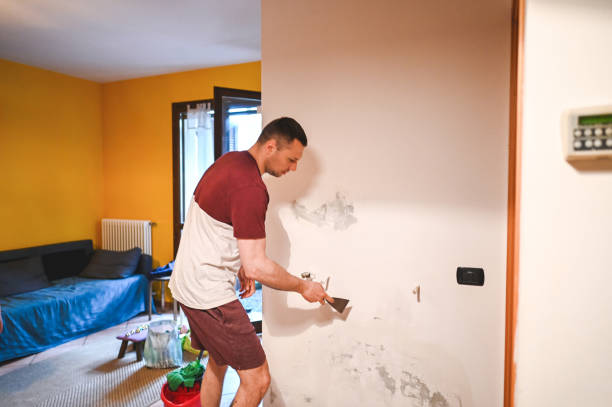 Best Same-Day Mold Removal  in Joshua Tree, CA