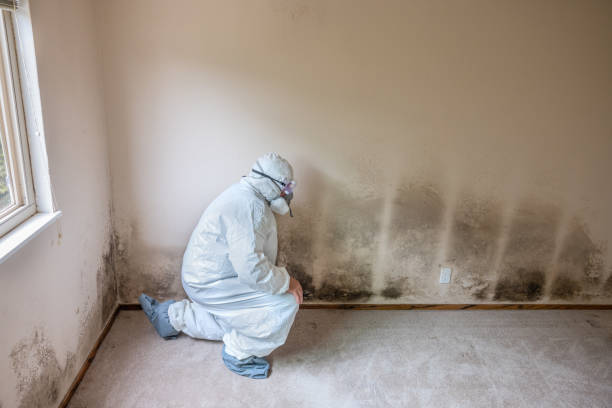 Water Damage Restoration in Joshua Tree, CA