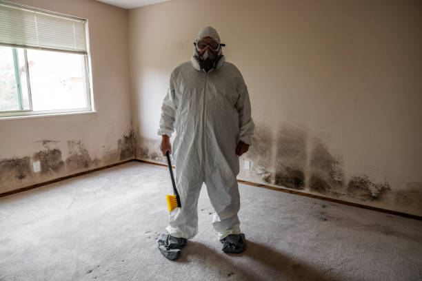 Best Crawl Space Mold Removal  in Joshua Tree, CA